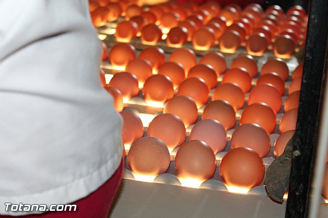 Visita del PP a Huevos Inmaculada - 55