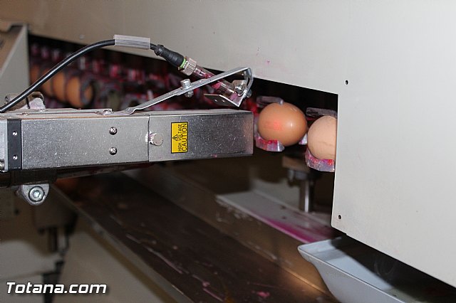 Visita del PP a Huevos Inmaculada - 59