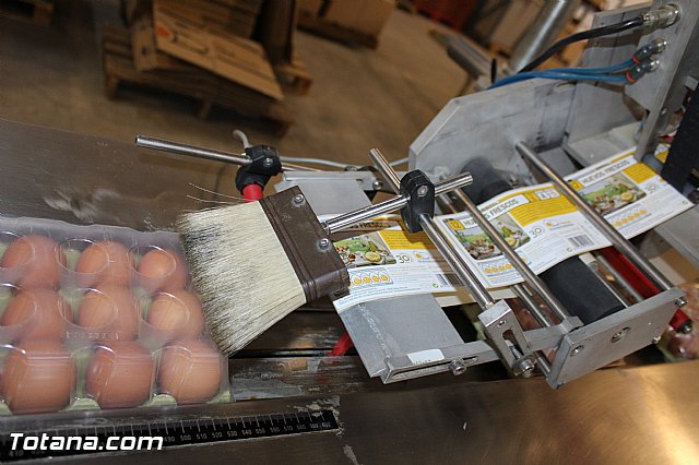 Visita del PP a Huevos Inmaculada - 62