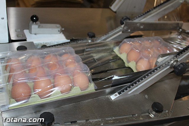 Visita del PP a Huevos Inmaculada - 63