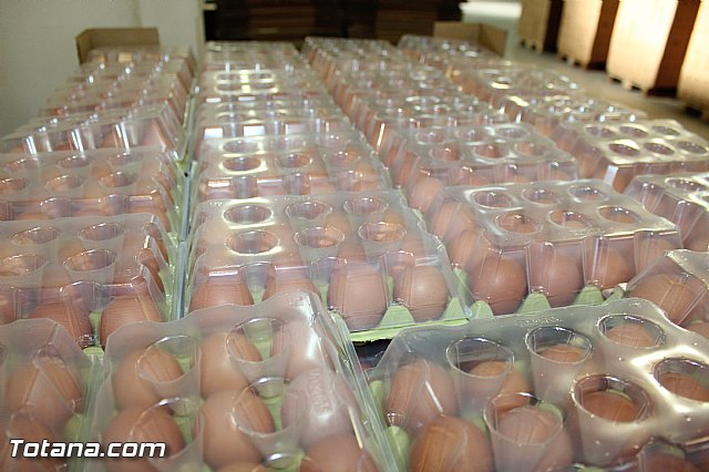 Visita del PP a Huevos Inmaculada - 70