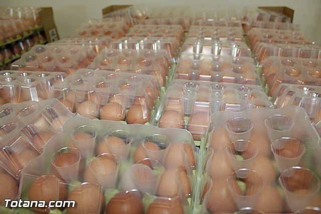 Visita del PP a Huevos Inmaculada - 71