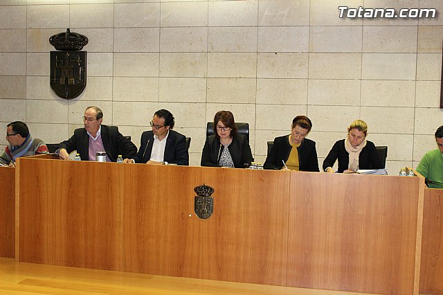 Pleno ordinario Diciembre 2014 - 1
