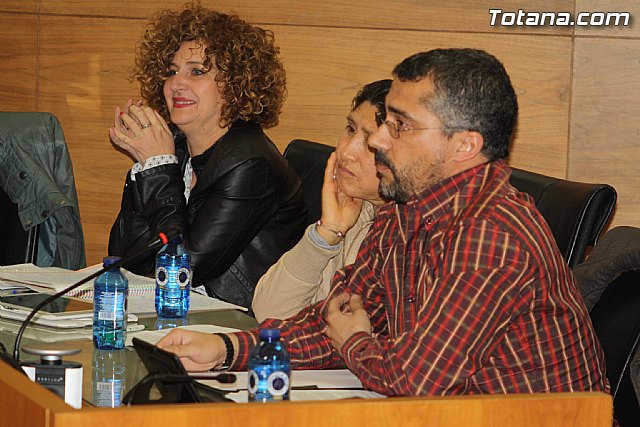 Pleno ordinario febrero 2014 - 34