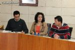 Pleno ordinario marzo 2013