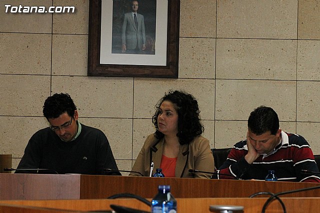 Pleno ordinario. Marzo 2013 - 12