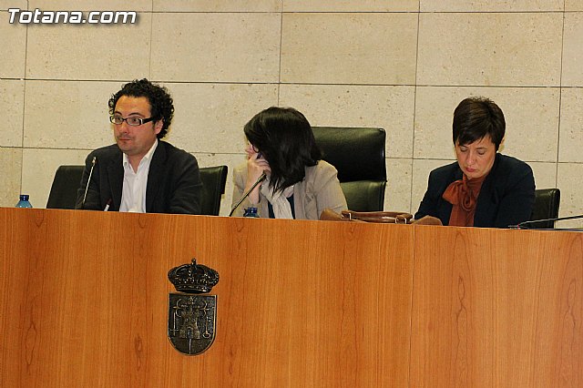 Pleno ordinario. Marzo 2013 - 13