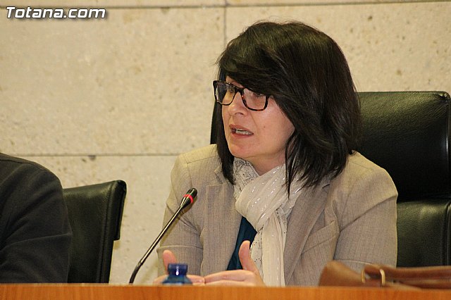 Pleno ordinario. Marzo 2013 - 15