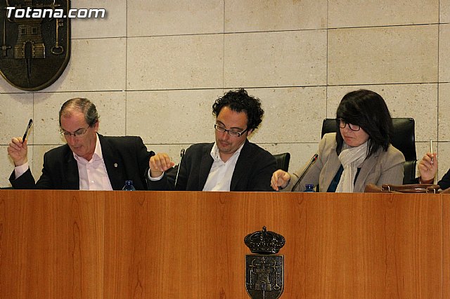 Pleno ordinario. Marzo 2013 - 16