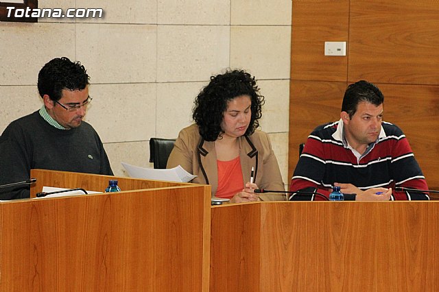 Pleno ordinario. Marzo 2013 - 21