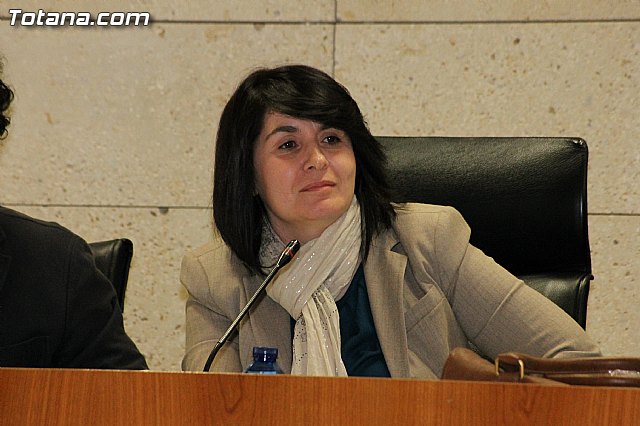 Pleno ordinario. Marzo 2013 - 22