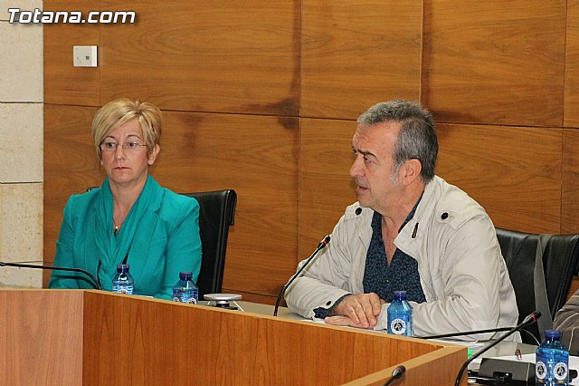 Pleno ordinario. Marzo 2013 - 24