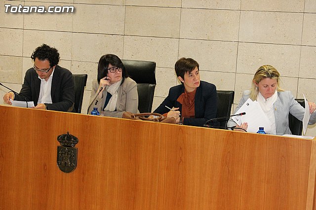 Pleno ordinario. Marzo 2013 - 28