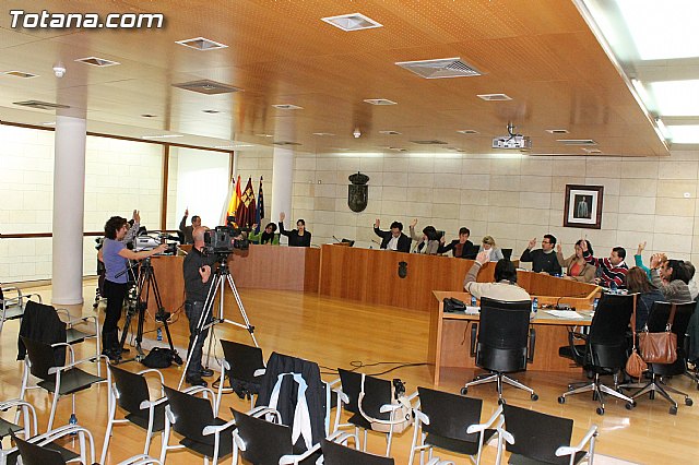 Pleno ordinario. Marzo 2013 - 29