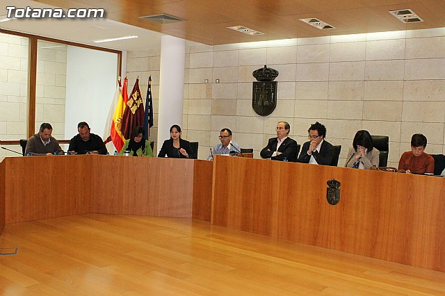Pleno ordinario. Marzo 2013 - 31