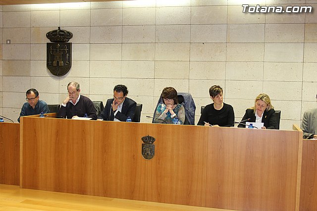 Pleno ordinario marzo 2014 - 1