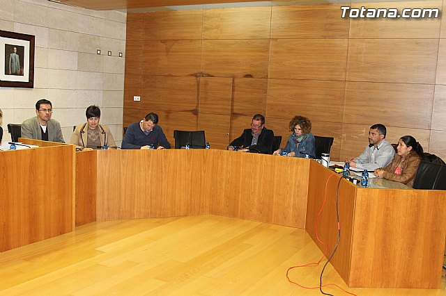 Pleno ordinario marzo 2014 - 3