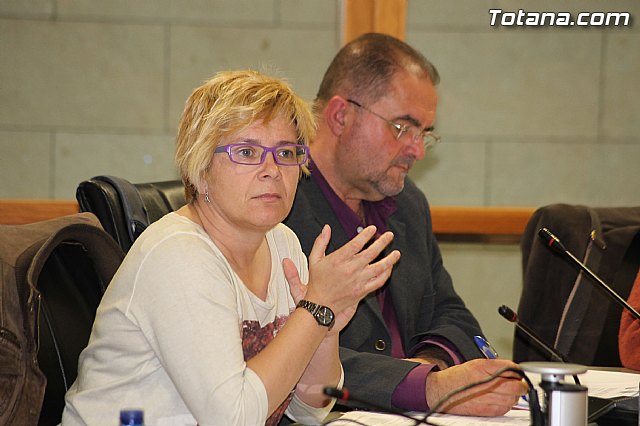 Pleno ordinario marzo 2014 - 5