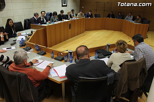 Pleno ordinario marzo 2014 - 8