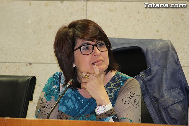 Pleno ordinario marzo 2014 - 11