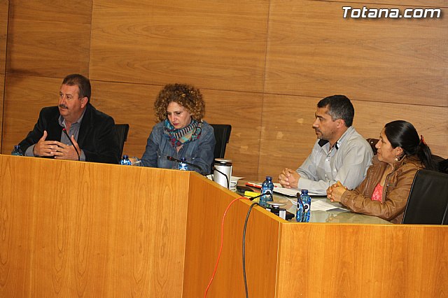 Pleno ordinario marzo 2014 - 12