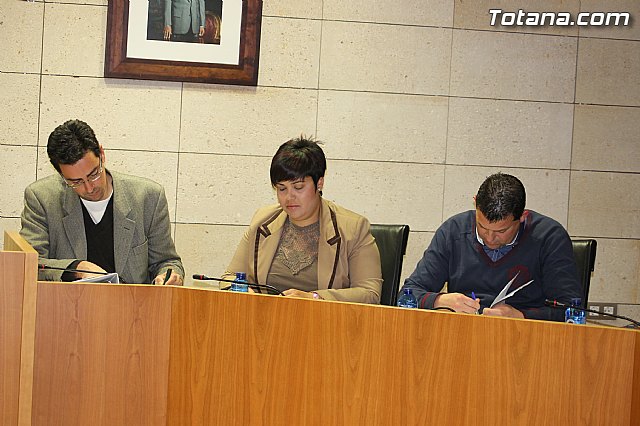 Pleno ordinario marzo 2014 - 13