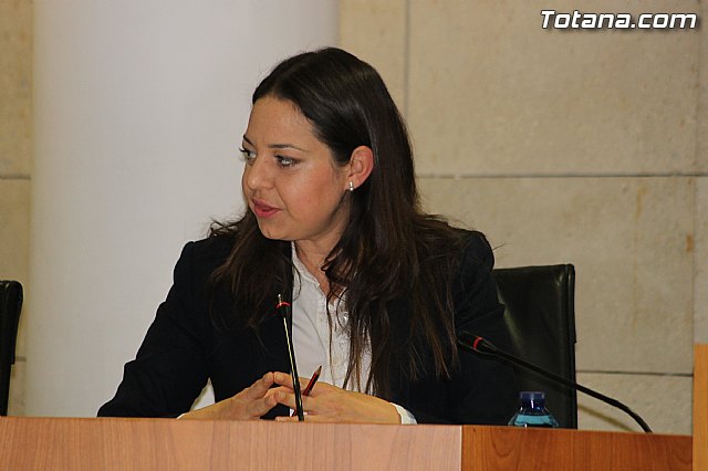 Pleno ordinario marzo 2014 - 15