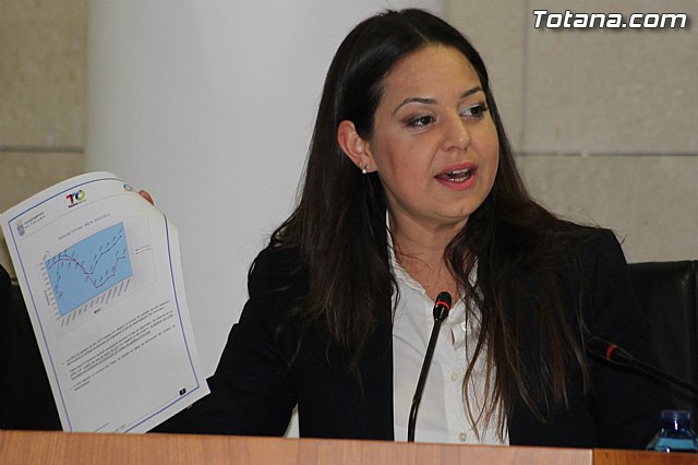 Pleno ordinario marzo 2014 - 17