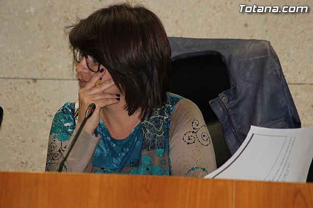 Pleno ordinario marzo 2014 - 22