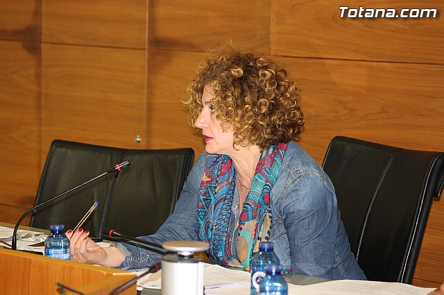 Pleno ordinario marzo 2014 - 32