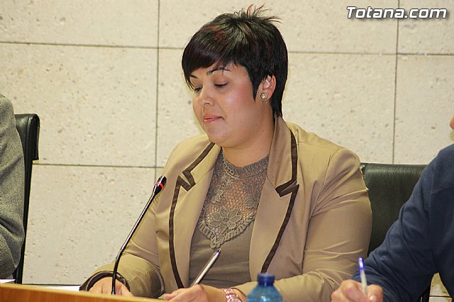 Pleno ordinario marzo 2014 - 33