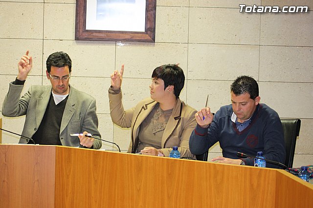 Pleno ordinario marzo 2014 - 34