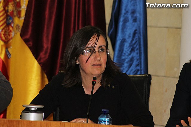 Pleno ordinario marzo 2014 - 36