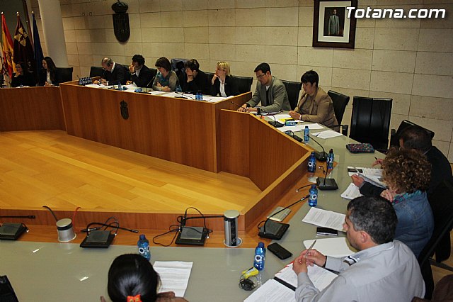 Pleno ordinario marzo 2014 - 38