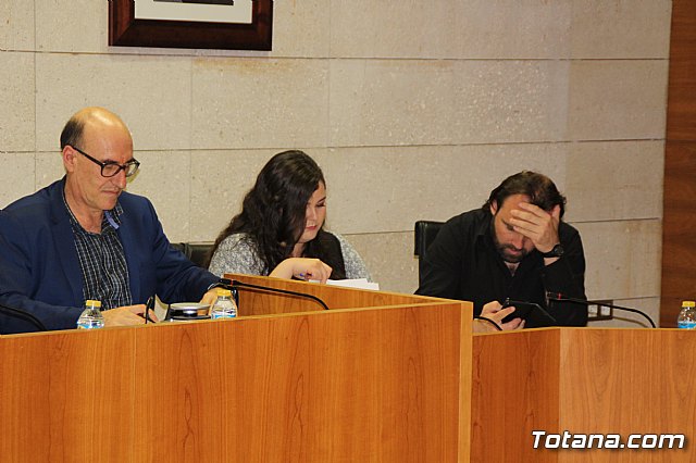 Pleno ordinario abril 2017 - 6