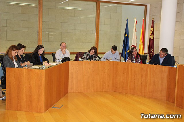 Pleno ordinario abril 2017 - 7