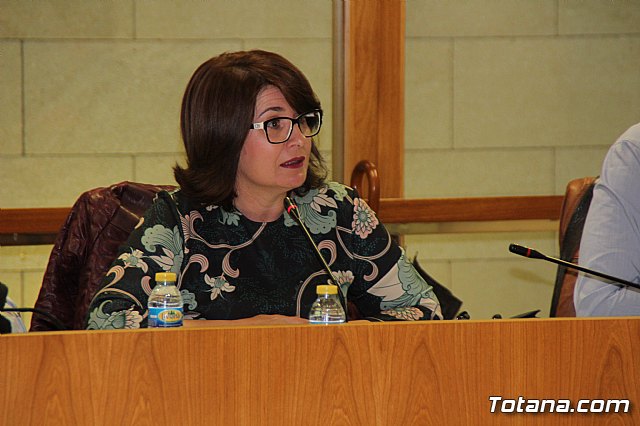 Pleno ordinario abril 2017 - 11