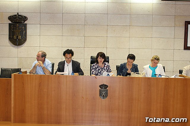 Pleno ordinario junio 2013 - 4