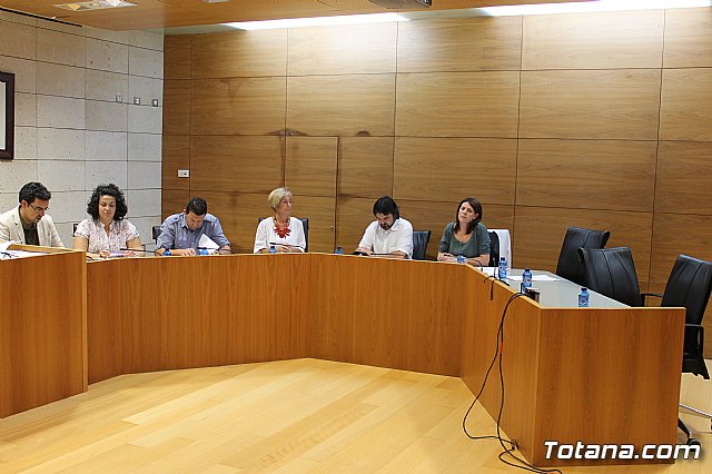 Pleno ordinario junio 2013 - 6