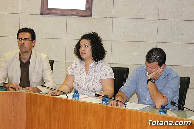 Pleno ordinario junio 2013 - 11