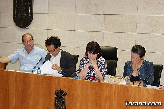 Pleno ordinario junio 2013 - 12