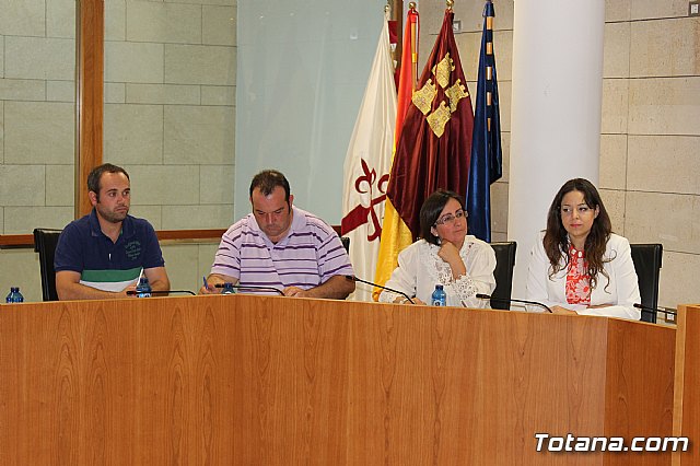 Pleno ordinario junio 2013 - 14