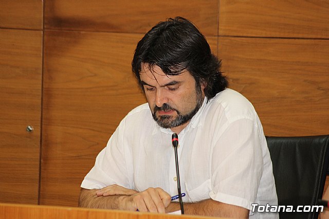 Pleno ordinario junio 2013 - 15