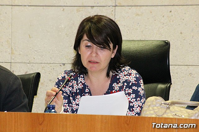 Pleno ordinario junio 2013 - 20