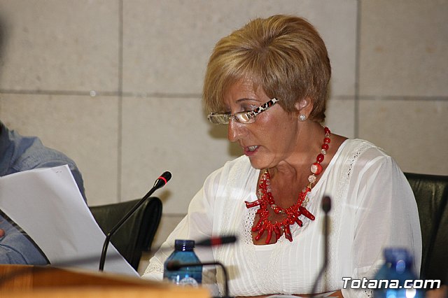 Pleno ordinario junio 2013 - 27