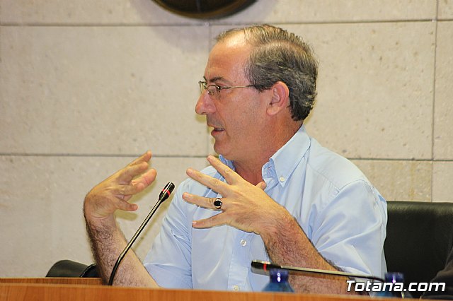 Pleno ordinario junio 2013 - 32