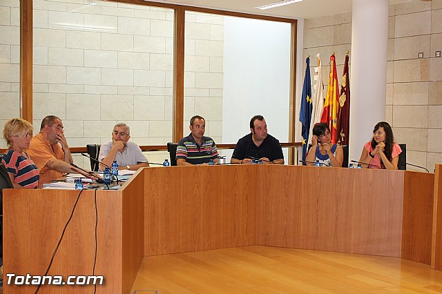 Pleno ordinario Julio 2012 - 2