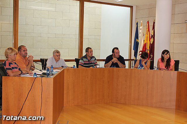 Pleno ordinario Julio 2012 - 4