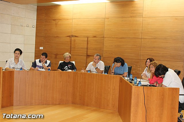 Pleno ordinario Julio 2012 - 5