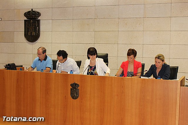 Pleno ordinario Julio 2012 - 6